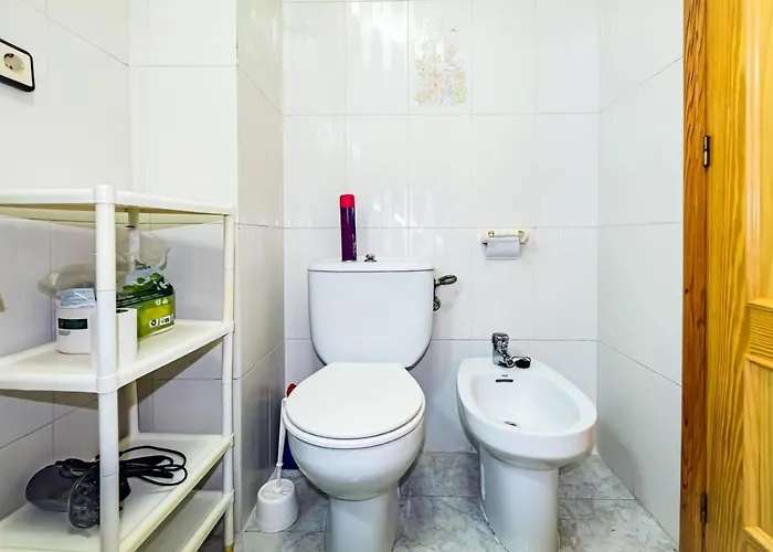 Alegria Id105 * Torrevieja